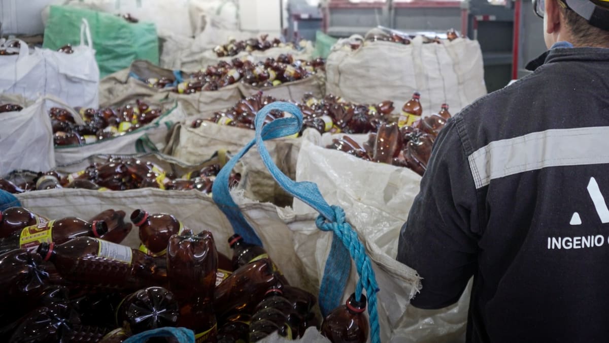 Día Mundial del Reciclaje: expertos dan recomendaciones para reciclaje efectivo en casa