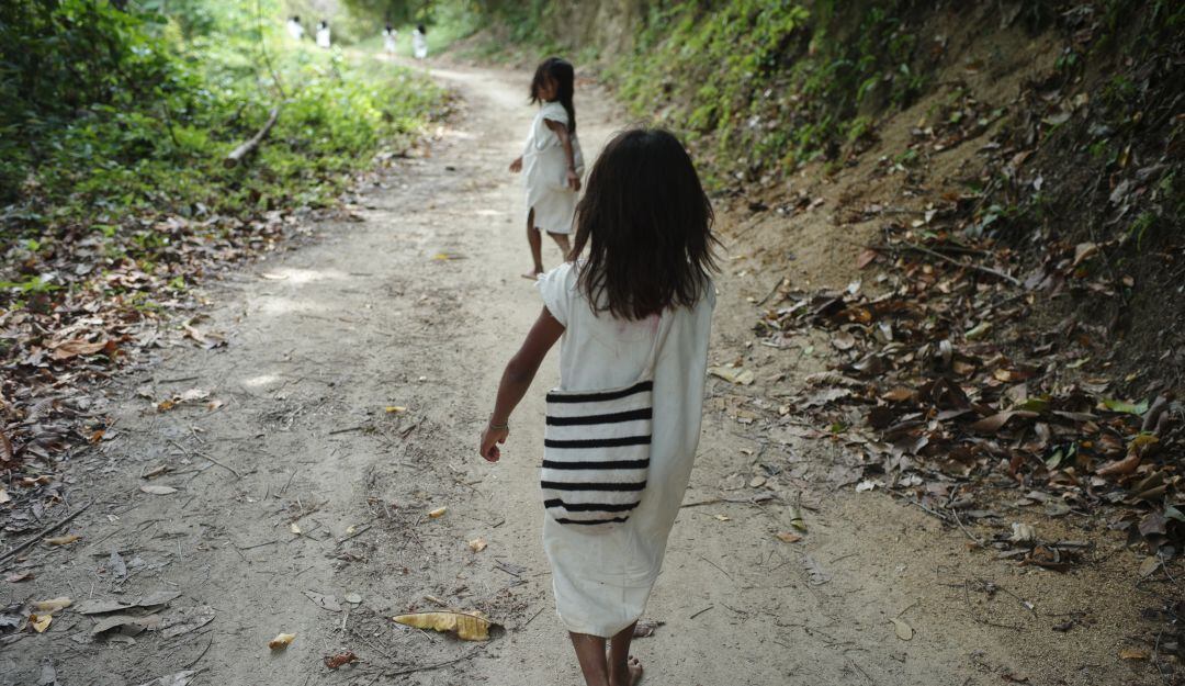 Camino rural en la Sierra Nevada de Santa Marta