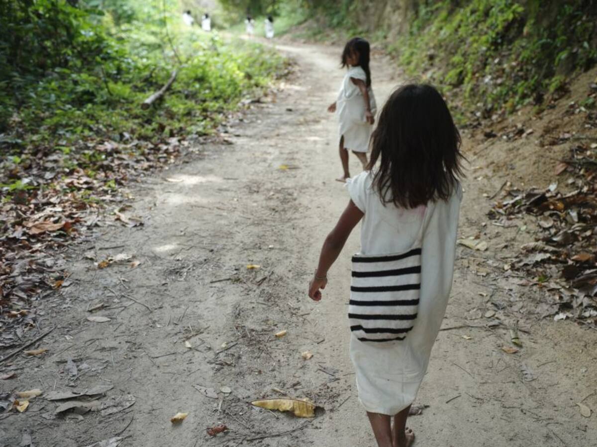 Cafeteros de la Sierra Nevada denuncian abandono de vías terciarias