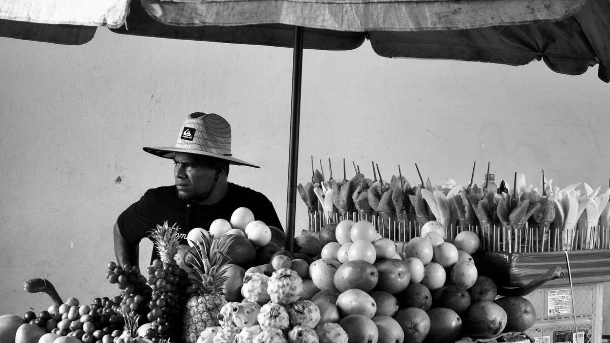 Miradas Caribes abre convocatoria en Cartagena para formación en teatro, literatura y fotografía