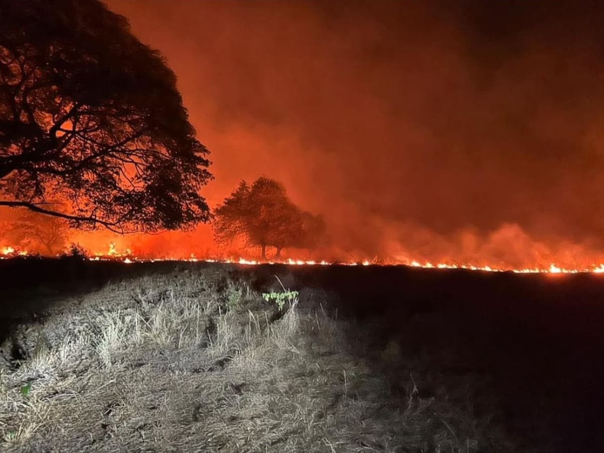 “Tenemos más de 14.000 hectáreas quemadas”: alcalde de Ortega, Tolima, por incendios