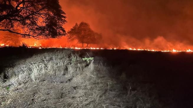24 incendios forestales activos en 13 municipios de Tolima; alerta por posibles quemas provocadas