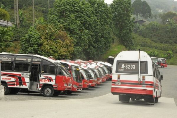 Incremento en el transporte público de Manizales