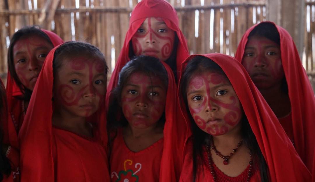 Imagen de referencia.