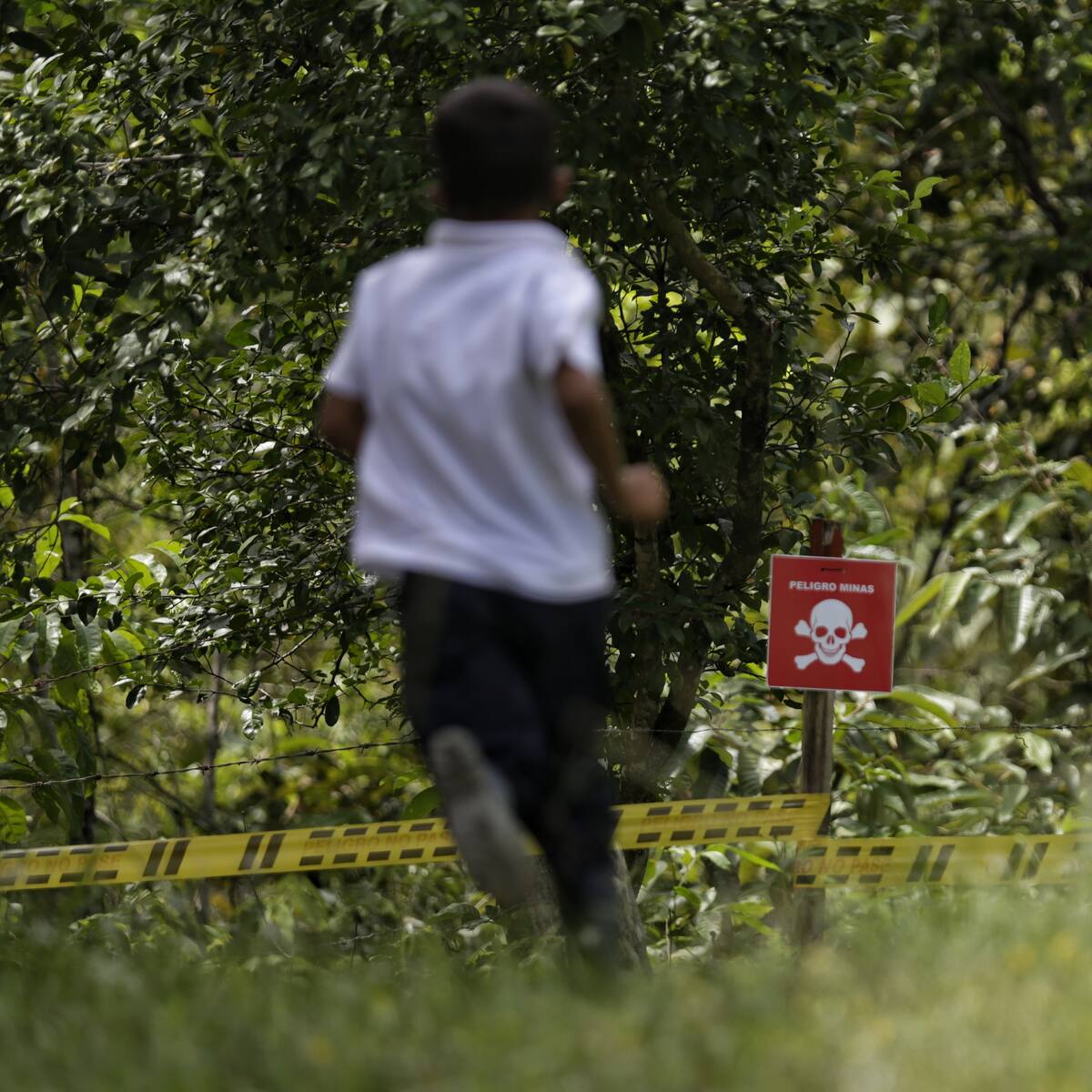 MilVíctimas reclama al Gobierno acciones contra las minas antipersona