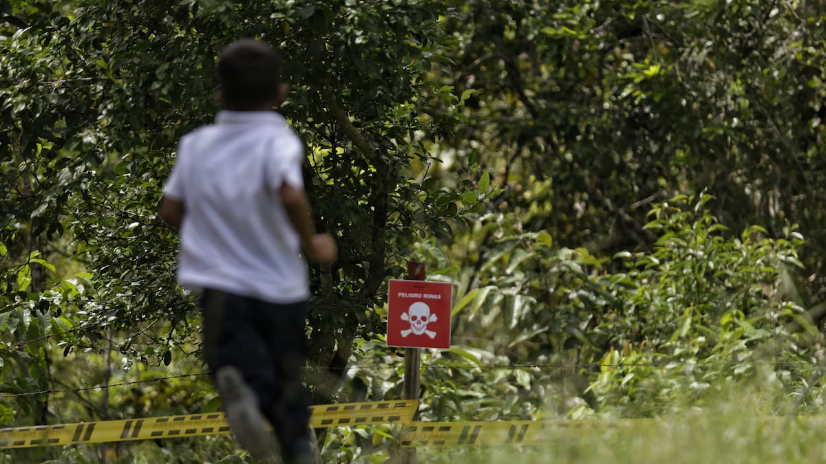 Dramática situación en municipios de la Cordillera de Nariño por siembra de minas
