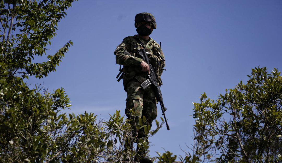 Imagen de referencia