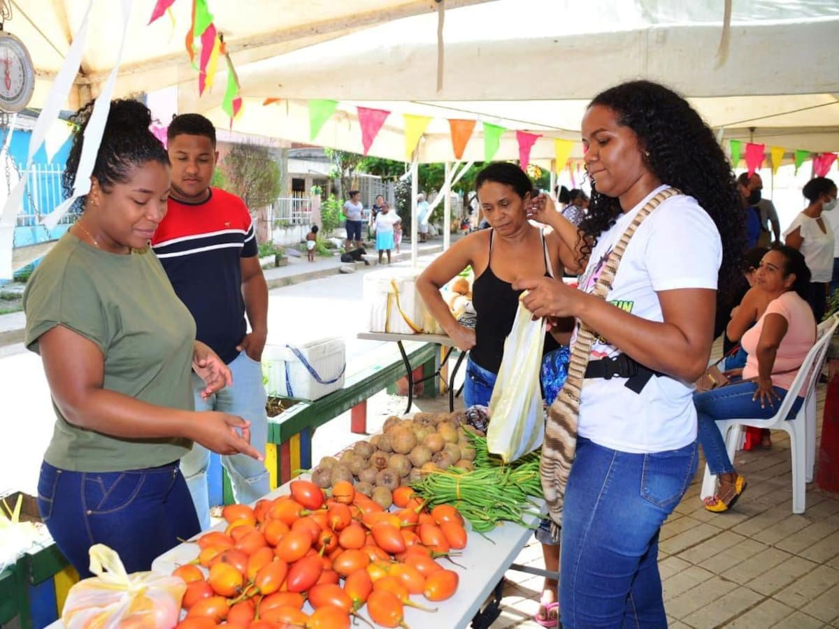 Este viernes doble jornada de mercados campesinos del PES- Pedro Romero