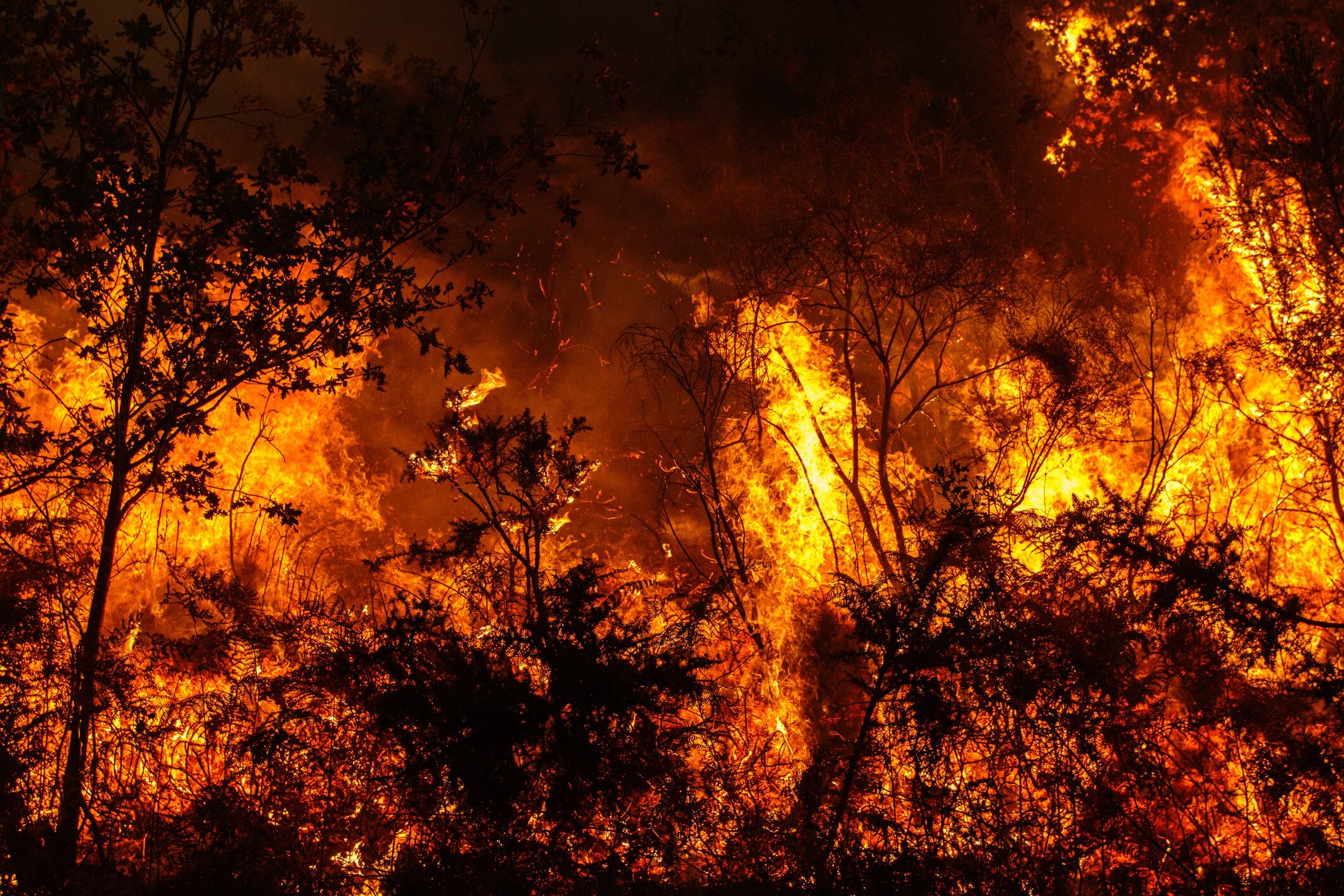 Incendio