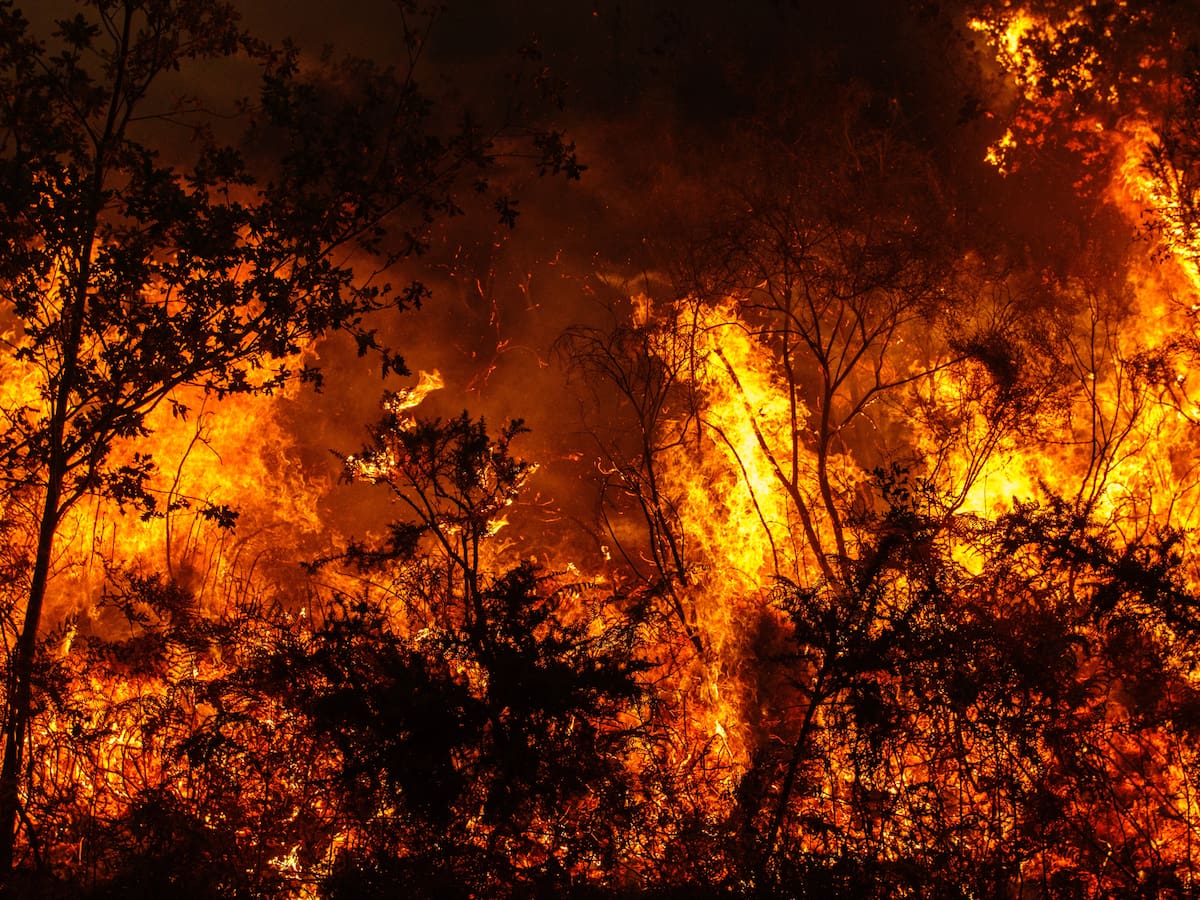 ¿Usted qué incendio quisiera apagar?