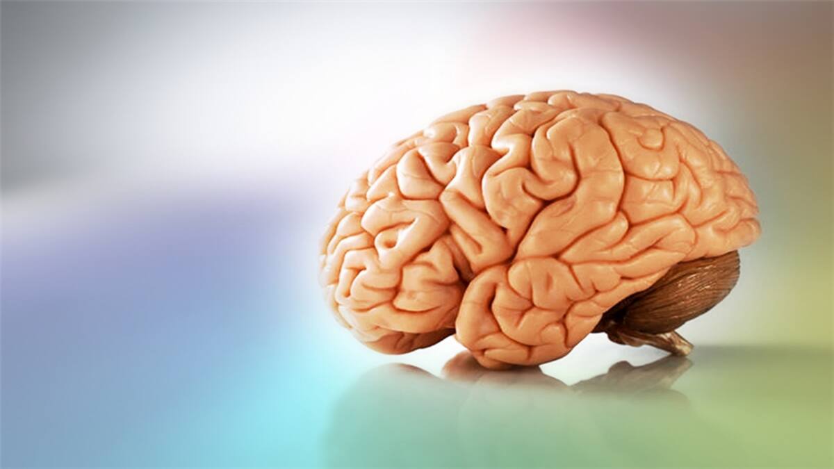 Comenzamos la galería de "herramientas" con esta foto de Alberto Valcarcel Maya:  "A contra luz, destacada sobre el naranja intenso del cielo de Beer Sheva al atardecer, esa gran herramienta constructiva que es la grúa, protagonista inseparable del paisaje urbano israelí".