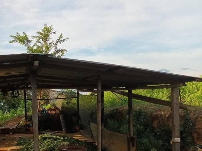 Autoridades destruyen dos nuevos laboratorio de coca / Foto: Ejército.