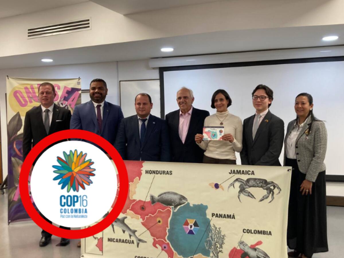 Conozca el acuerdo que será firmado en la COP16 para salvaguardar el mar Caribe