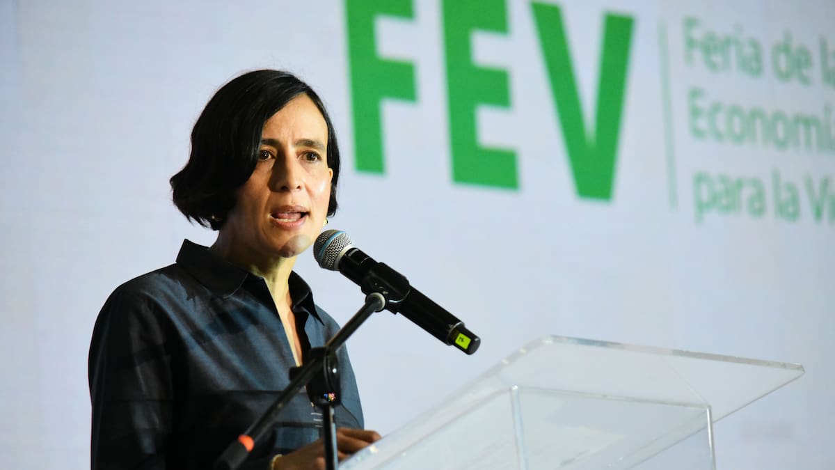 Ministra de Ambiente advierte por una posible declaratoria de desastre por agua en Bogotá