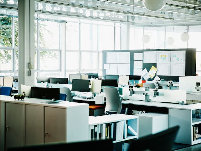 ¿Día cívico favorece el cuidado de los recursos naturales? Experto responde