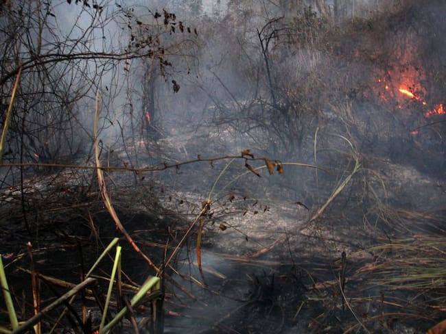 Darán recompensa por responsables de incendios en Cundinamarca