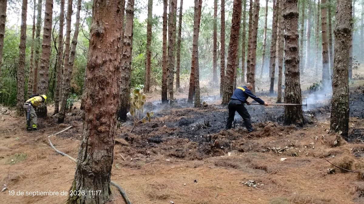 Alerta por incendios en Nariño, varias emergencias se presentan de manera recurrente