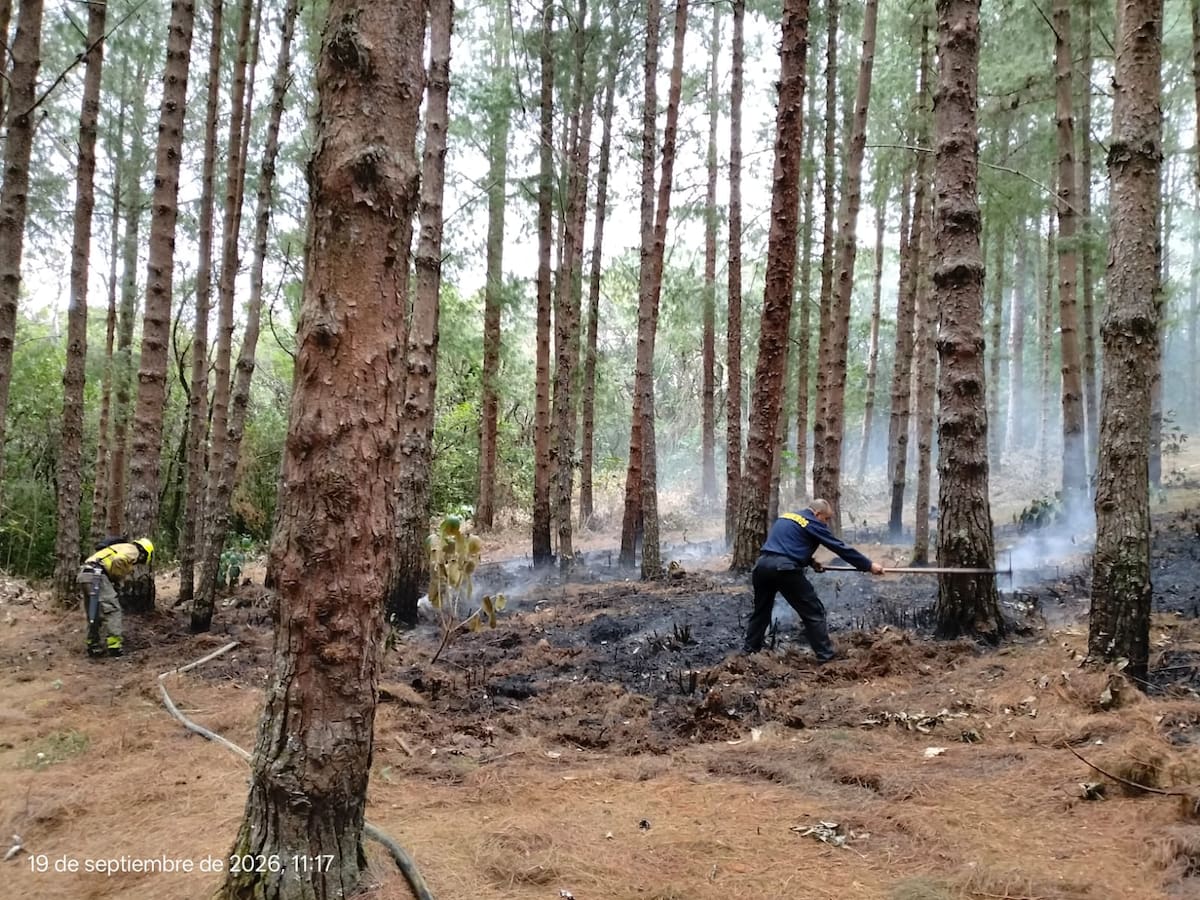 Alerta por incendios en Nariño, varias emergencias se presentan de manera recurrente