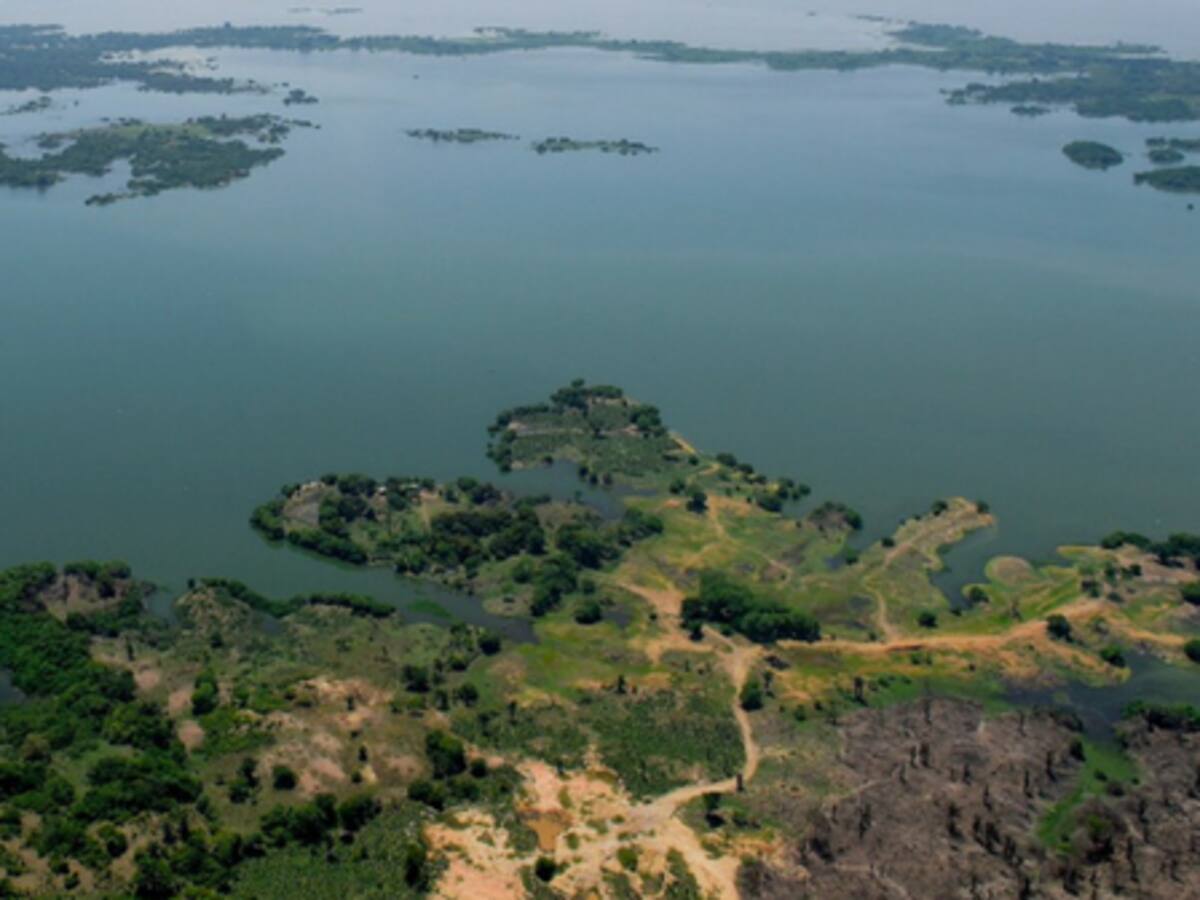 Crisis de la Ciénaga de Zapatosa, sur del Magdalena, está en la ‘mira’ del Senado