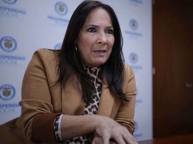 &quot;Reconstrucción de Providencia se dividirá en dos partes&quot;: Susana Correa
