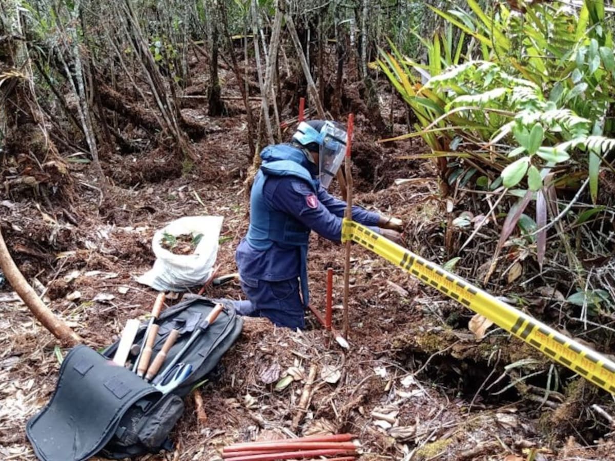 Ejército iniciará labores de desminado humanitario en el Urabá antioqueño
