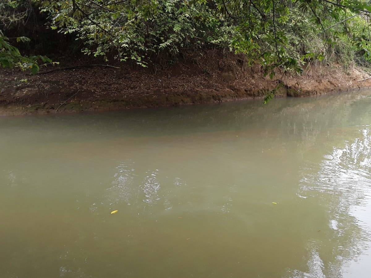 Cali: padre e hija fueron arrastrados por las aguas del río Cauca