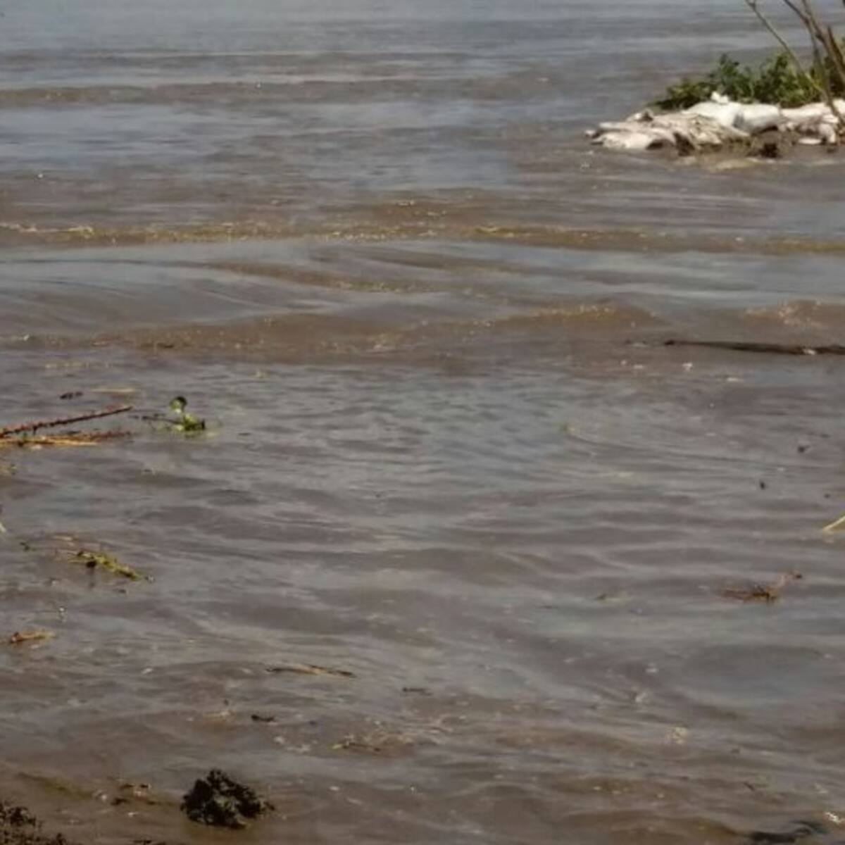 Alerta en el sur del Atlántico por disminución del nivel del río Magdalena