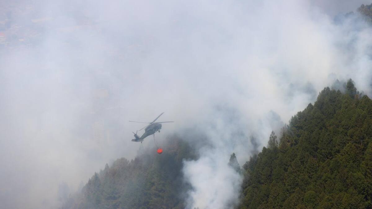 Cinco países y la Unión Europea brindarán ayuda a Colombia en emergencia por incendios