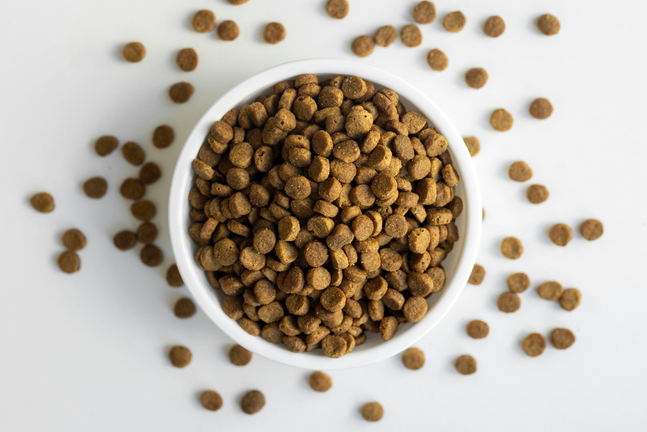 Heap of dry pet food on bowl on table