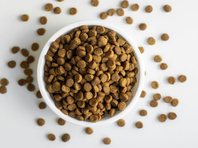 Heap of dry pet food on bowl on table
