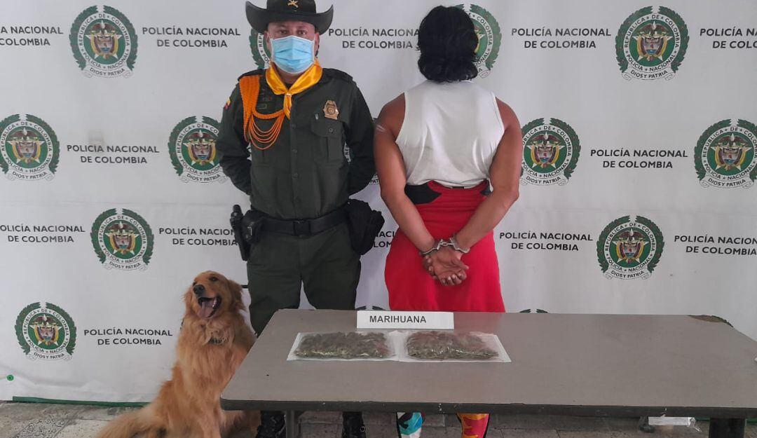 Estupefacientes incautados tras la detección de la canina Sam