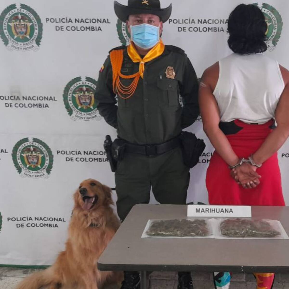 Con Policía canina incautan marihuana en el aeropuerto La Nubia