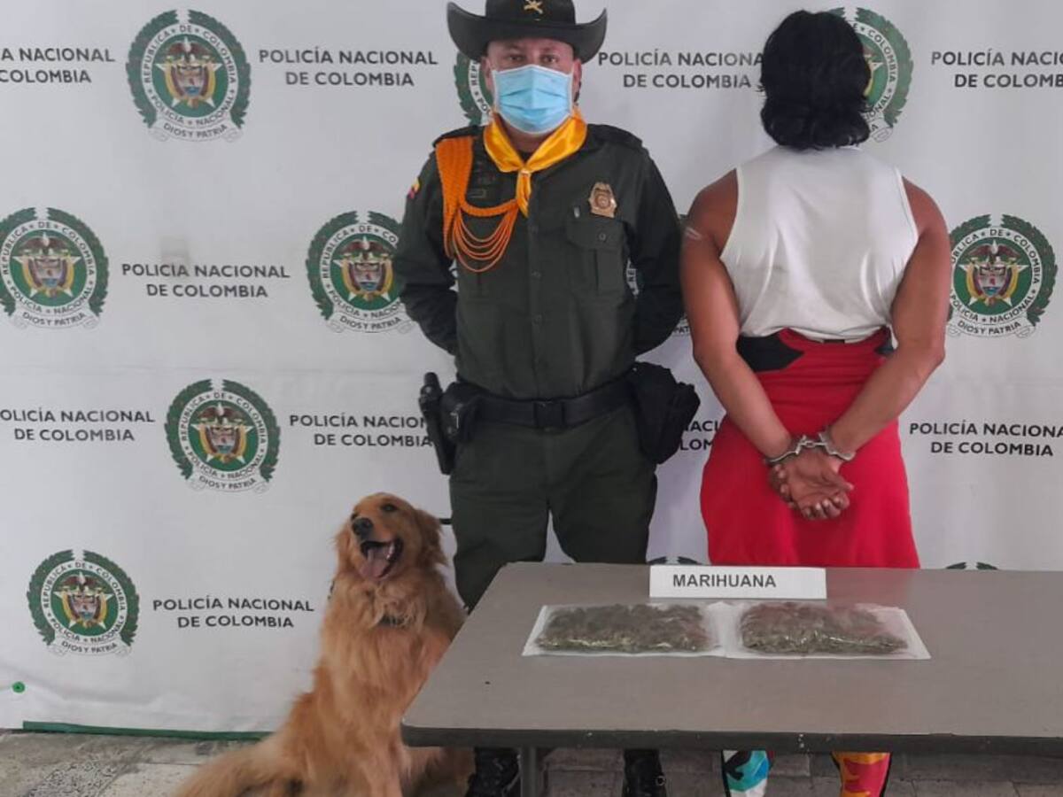 Con Policía canina incautan marihuana en el aeropuerto La Nubia