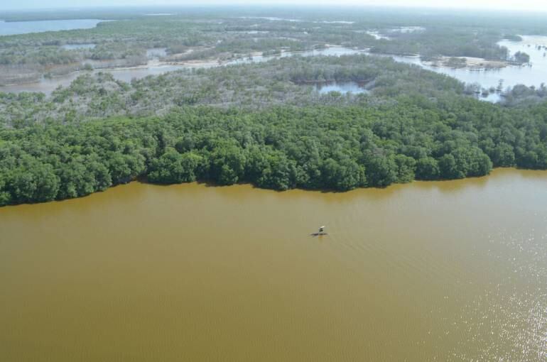 Ciénaga Grande de Santa Marta