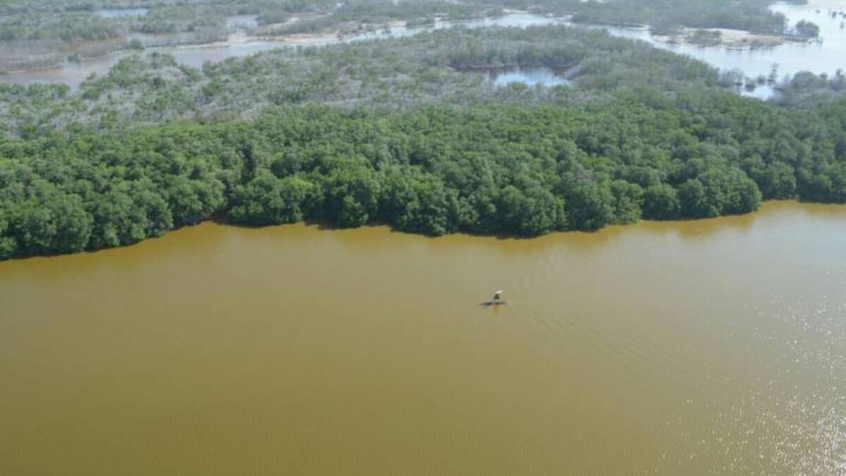 Hijos de pescadores de la Ciénaga Grande cumplen el sueño de estudiar