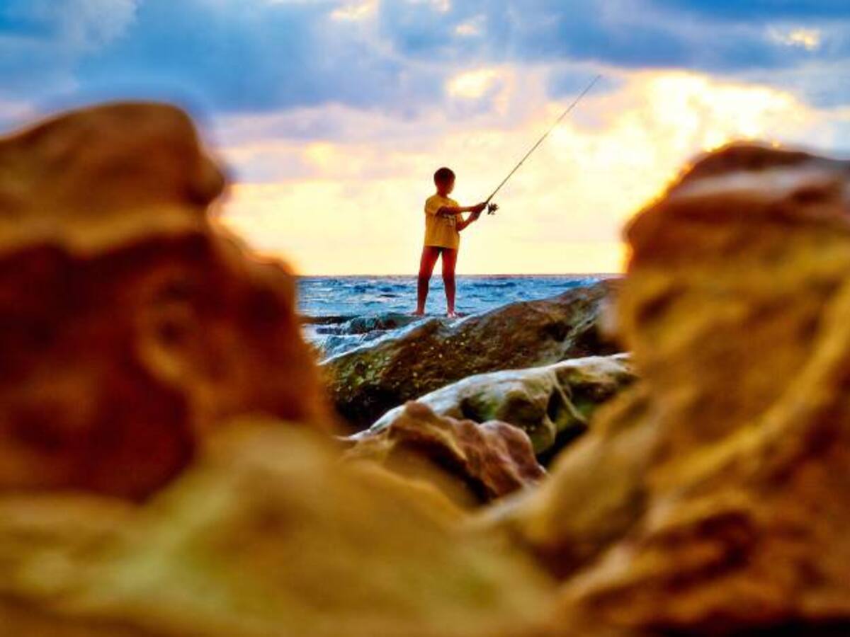 Emociones y bienestar - 28 de octubre