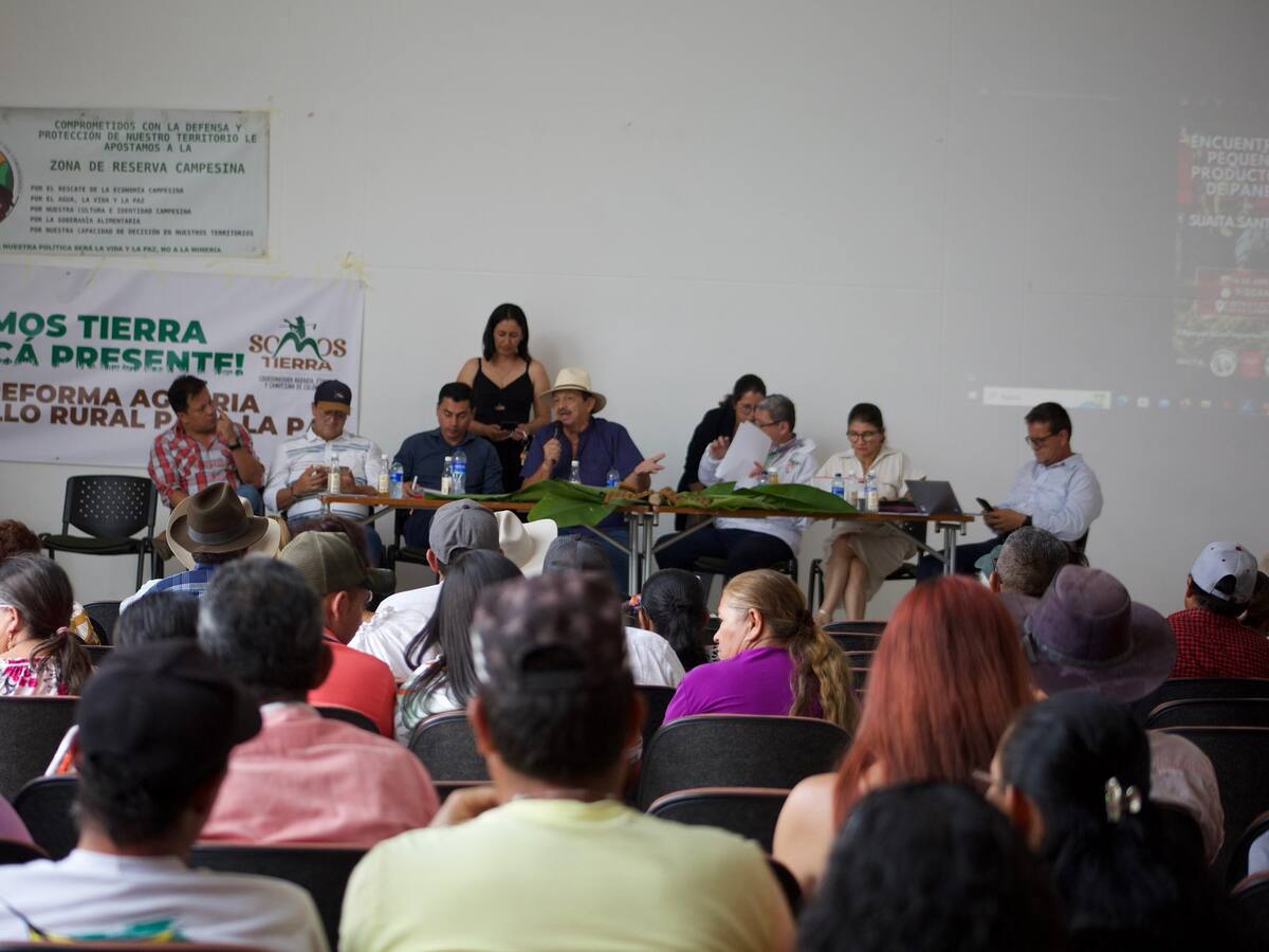 Paneleros denuncian señalamientos por participar en actividades del acuerdo de paz