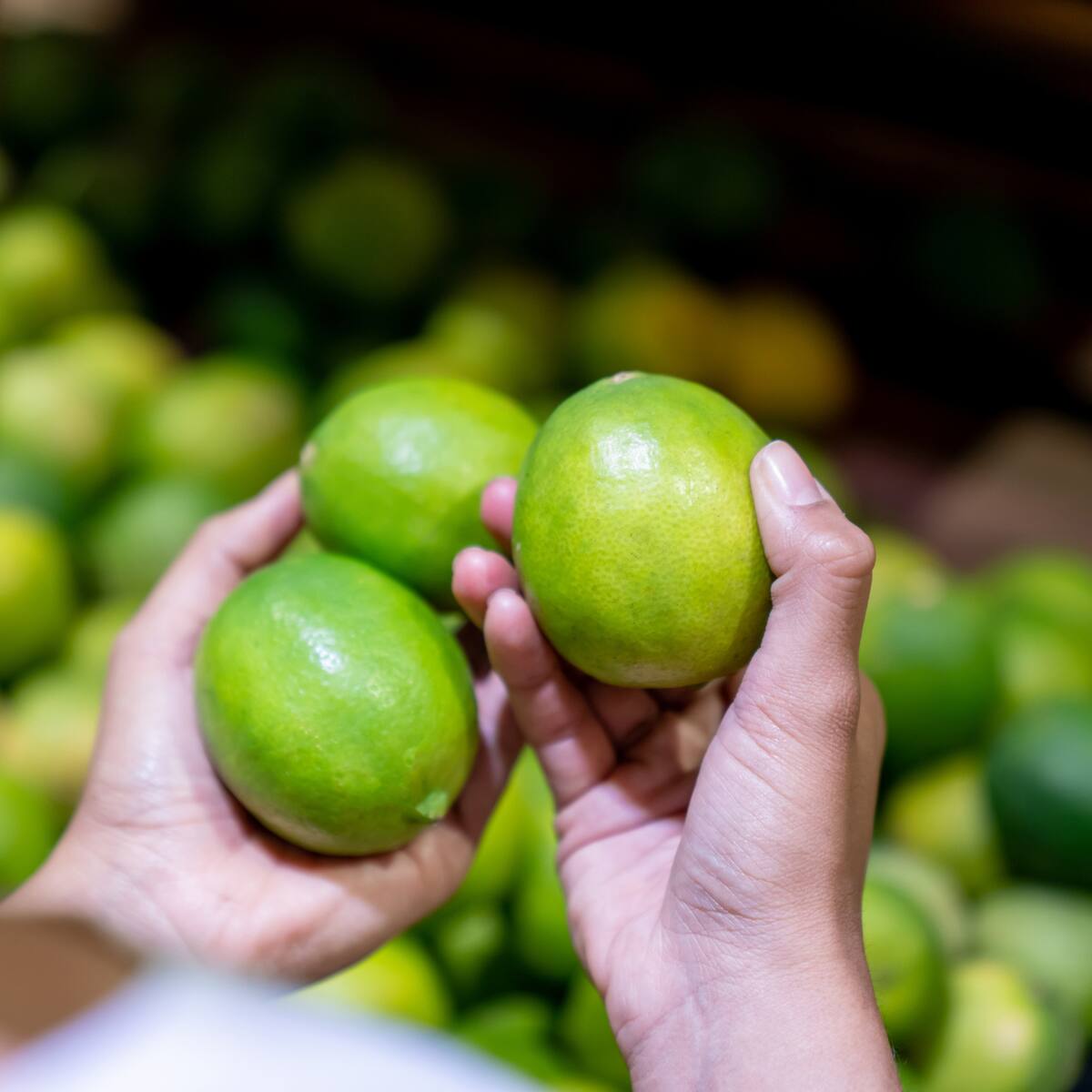 Cuál es el limón más jugoso y barato: tipos y temporada de cosecha