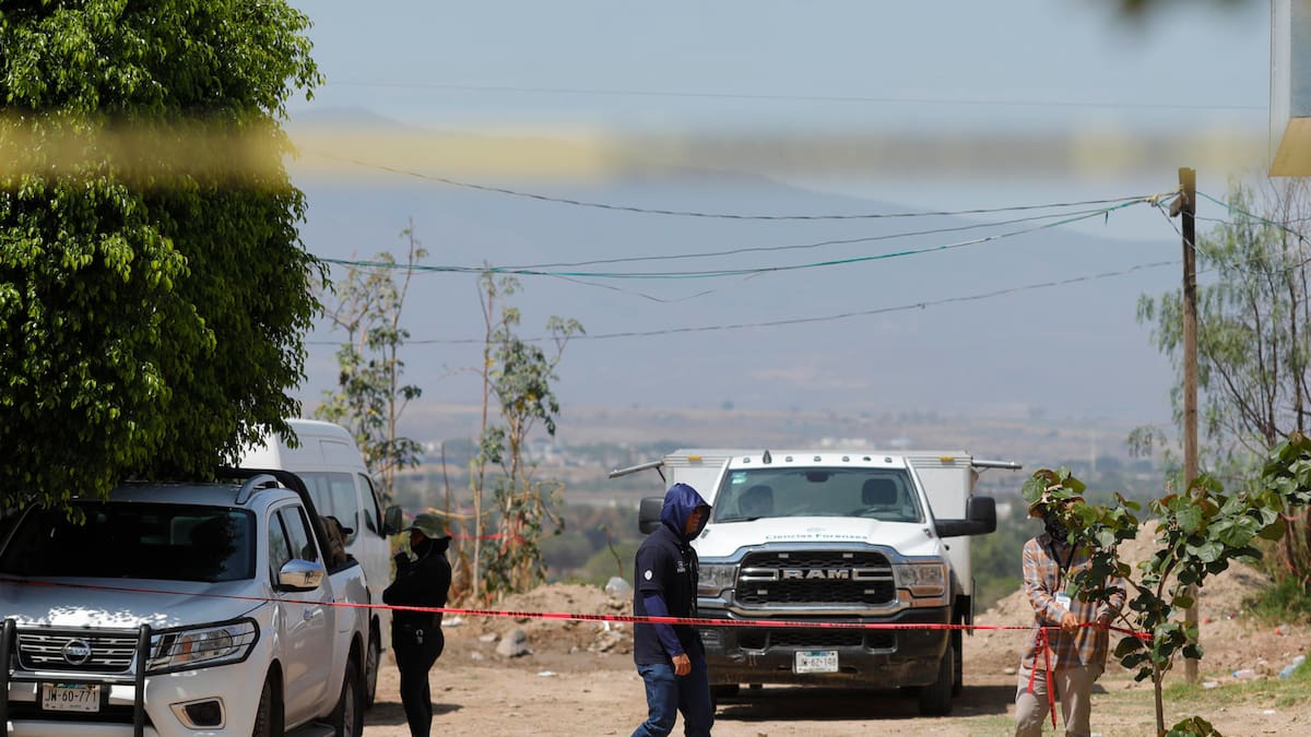 Colectivos de búsqueda en México hallaron fosa clandestina con 60 bolsas con restos humanos