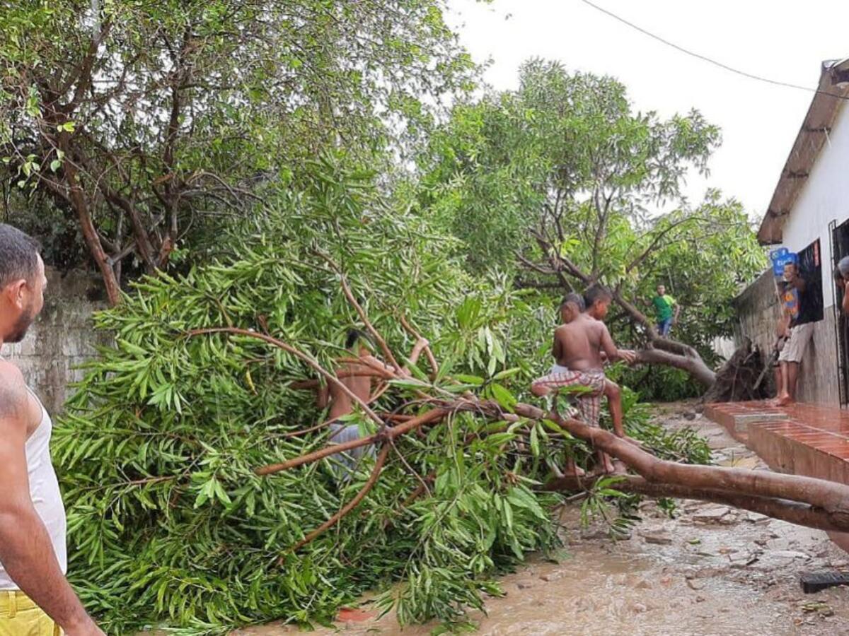A 600 familias ascienden los damnificados en Manatí