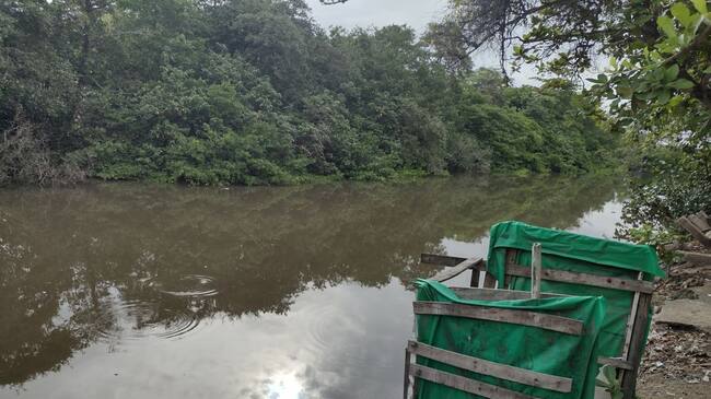 Caño Juan Angola
