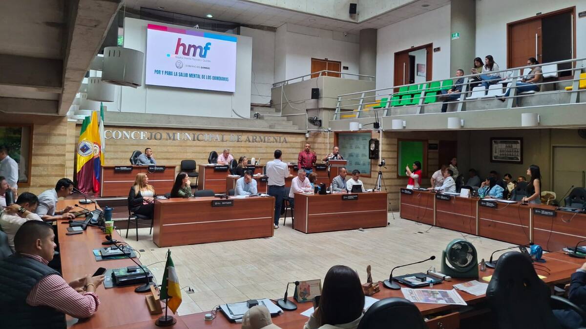 Informe debate de salud mental en Concejo de Armenia