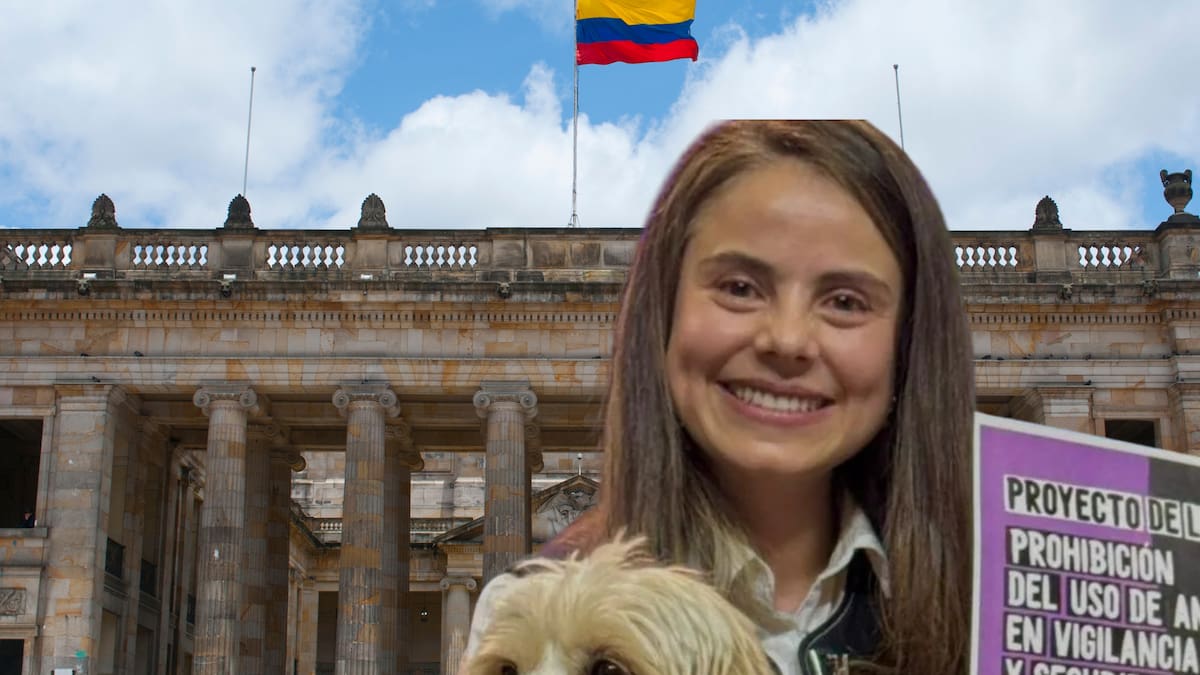 Radican proyecto de ley para prohibir que perros trabajen en vigilancia y seguridad privada