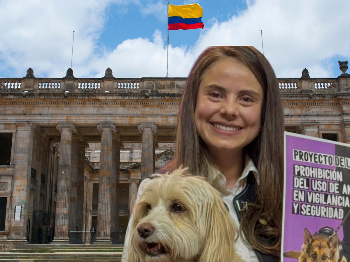 Radican proyecto de ley para prohibir que perros trabajen en vigilancia y seguridad privada