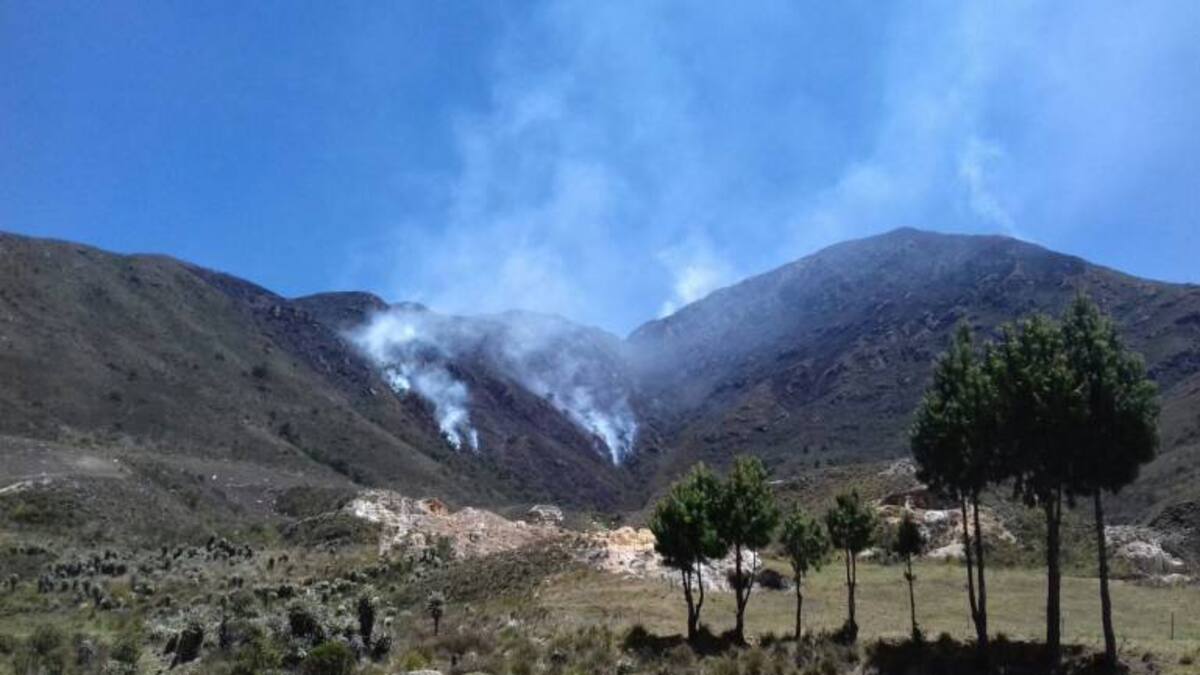 Tragedia ambiental tras incendio forestal en el páramo de Güina en Boyacá
