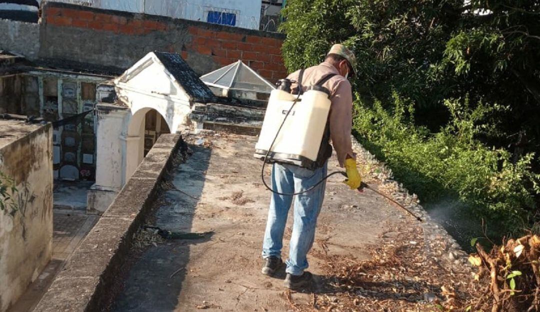 Fumigación en cementerio Santa Cruz de Manga