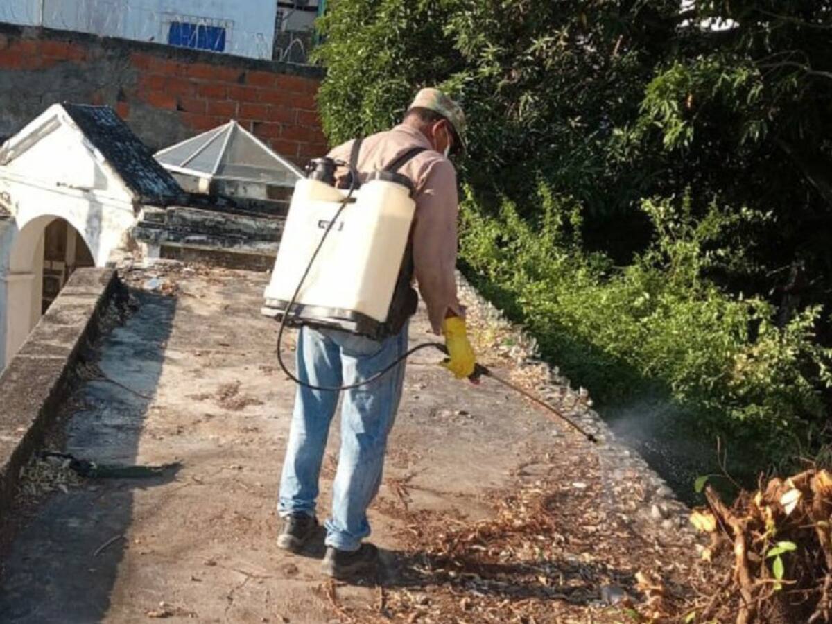 Labores de fumigación y retiro de maleza en el cementerio de Manga