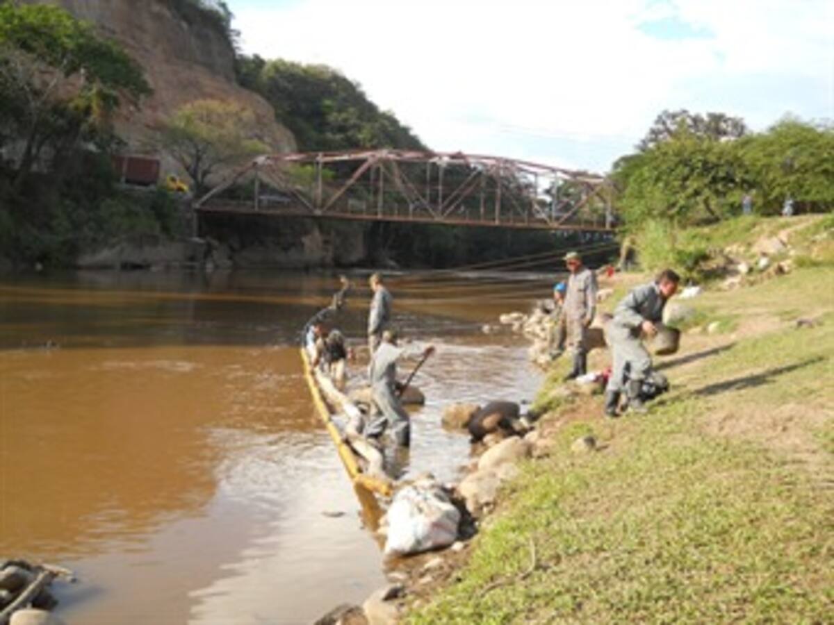 Soldados podrán prestar el servicio militar cuidando el medio ambiente