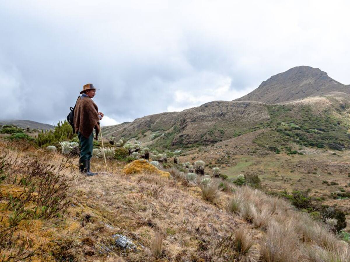 MiPáramo: campesinos unidos por el agua de Santurbán