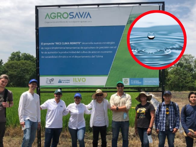 Equipo UNAL Sede Manizales, ILVO Bélgica, AGROSAVIA y la Universidad de Ibagué.